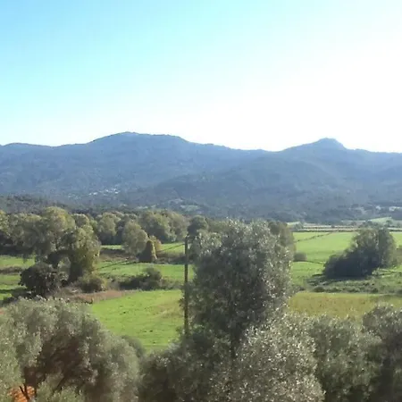 Villa Le Paladin Porto Pollo Privée Avec Piscine Chauffée *