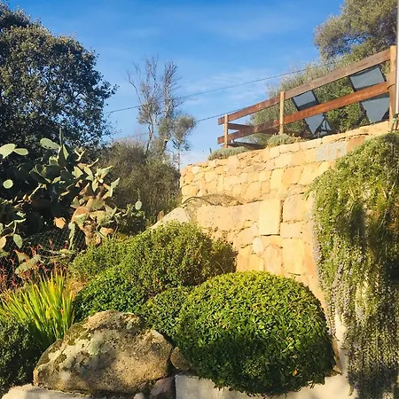 Villa Le Paladin Porto Pollo Privée Avec Piscine Chauffée