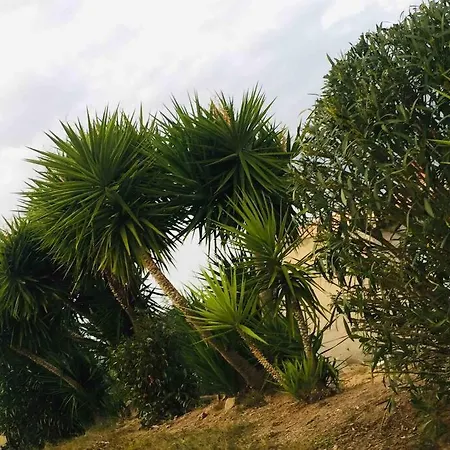 Le Paladin Porto Pollo Privée Avec Piscine Chauffée * Serra-di-Ferro (Corsica)