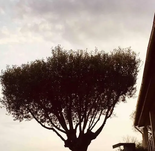 Le Paladin Porto Pollo Privee Avec Piscine Chauffee Villa *