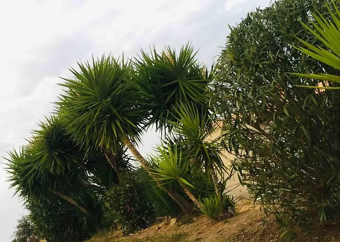 Le Paladin Porto Pollo Privee Avec Piscine Chauffee * Serra-di-Ferro (Corsica)