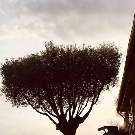 Le Paladin Porto Pollo Privee Avec Piscine Chauffee Vila *