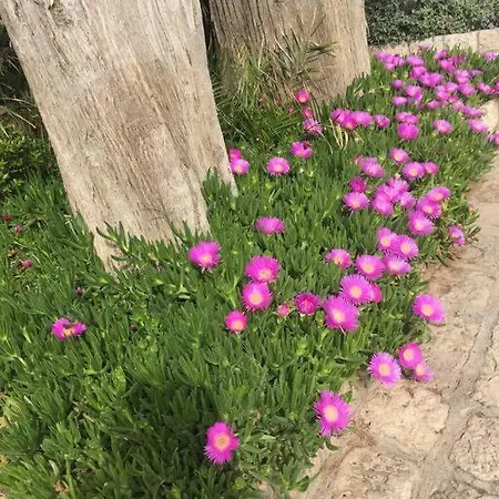 Le Paladin Porto Pollo Privee Avec Piscine Chauffee Willa Serra-di-Ferro (Corsica)