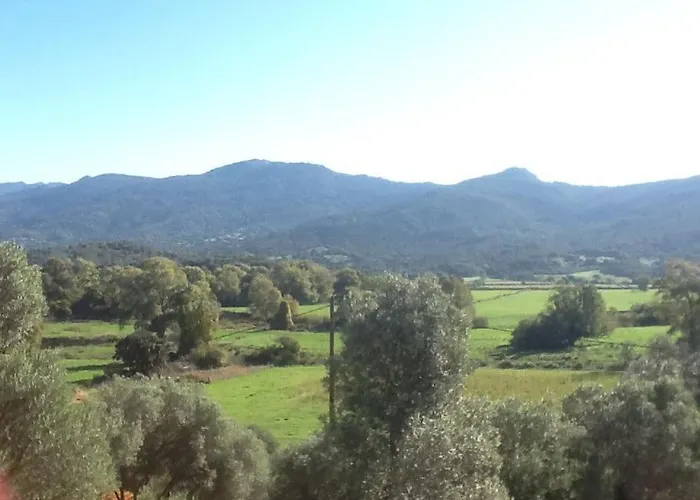 Villa Le Paladin Porto Pollo Privée Avec Piscine Chauffée *