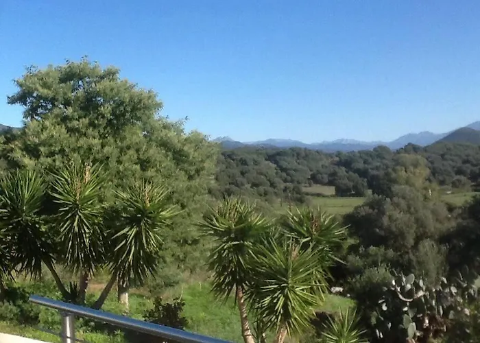 Le Paladin Porto Pollo Privée Avec Piscine Chauffée Villa