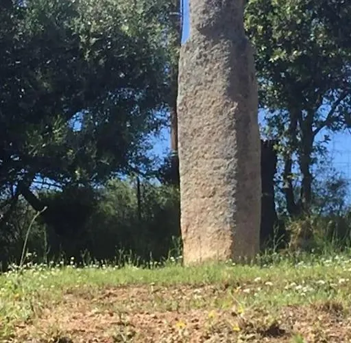 Le Paladin Porto Pollo Privée Avec Piscine Chauffée Villa *