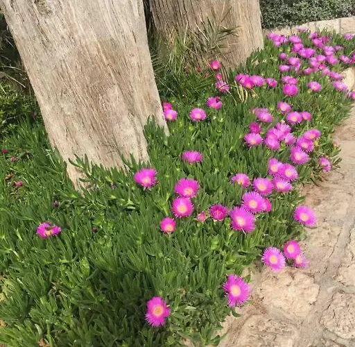Le Paladin Porto Pollo Privée Avec Piscine Chauffée Villa Serra-di-Ferro (Corsica)